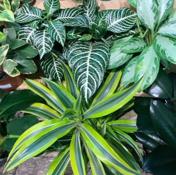 β’BUNDLE 4 OFFERSβ’HI Please read Belowβ’ - Picture 8 of 8